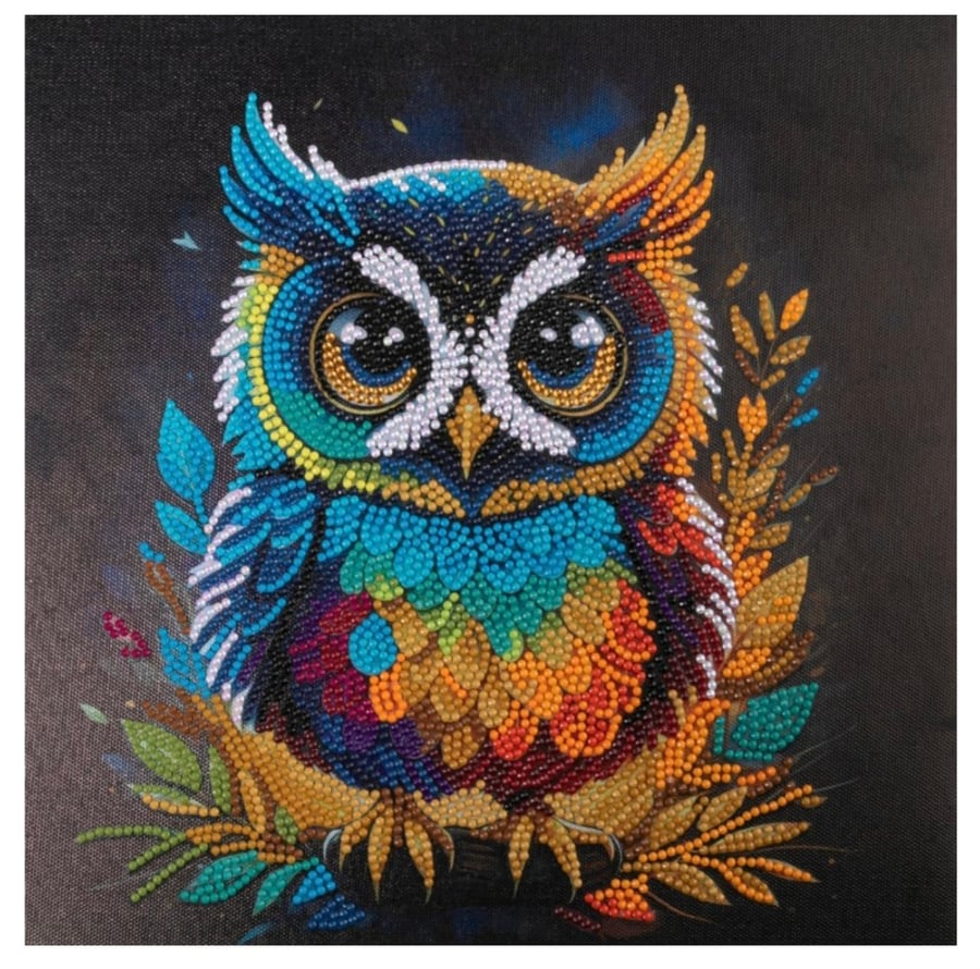 Owl 30x30cm crystal art kit