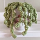 Hand crochet succulent plant in jug