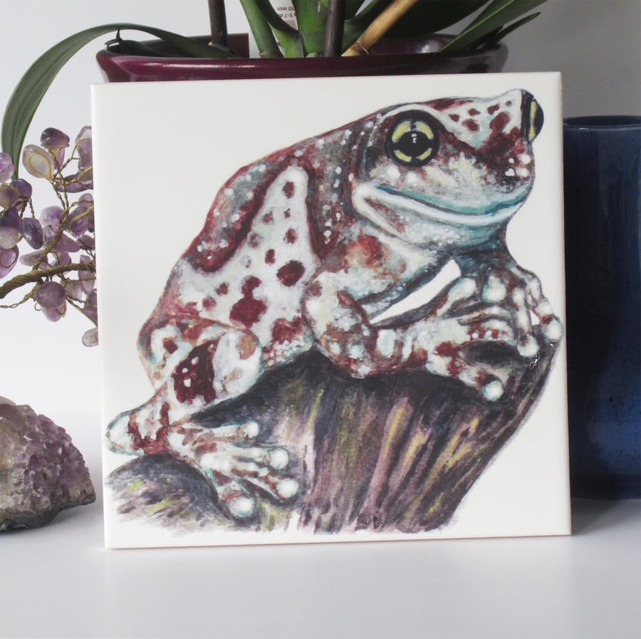 Amazon Milk Frog Design Ceramic Tile Trivet wit... - Folksy