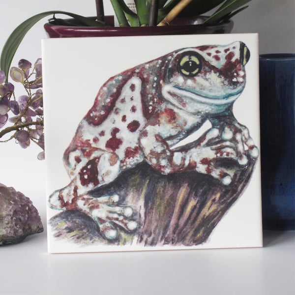Amazon Milk Frog Design Ceramic Tile Trivet with Cork Backing