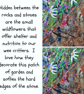Rock garden painting - acrylics - letterbox gift - wildflowers - Image 2