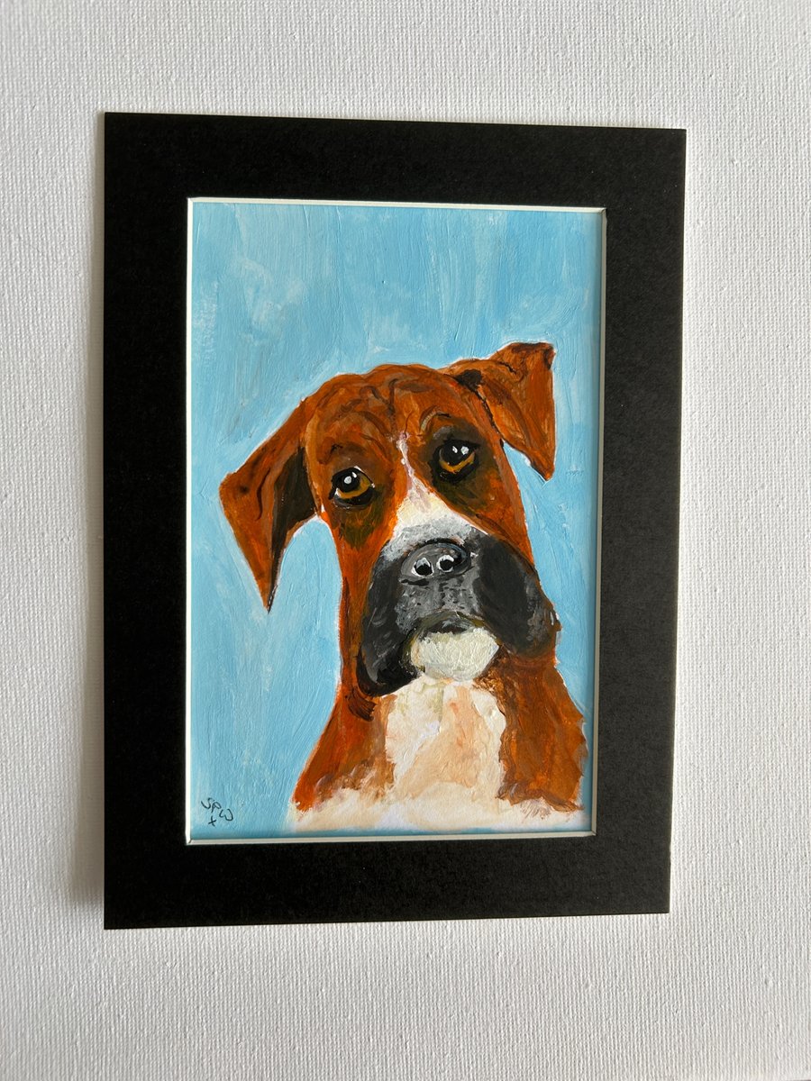 Original boxer dog painting in acrylics 5x7"