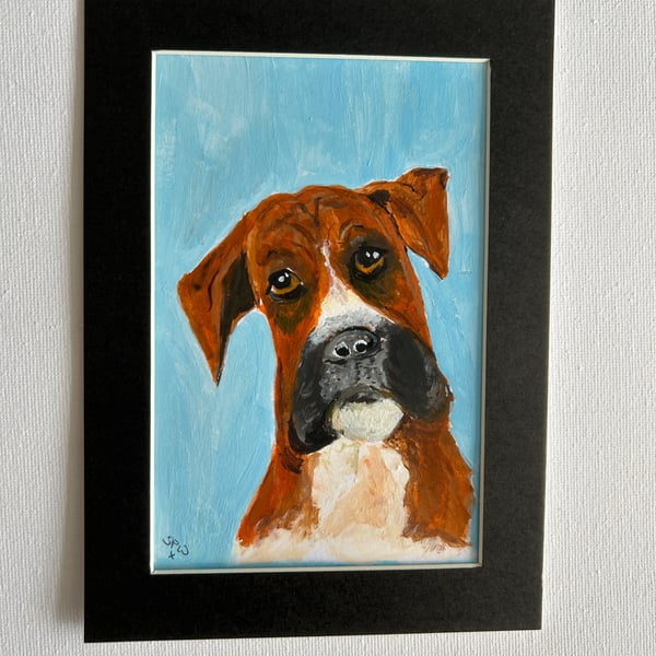 Original boxer dog painting in acrylics 5x7"