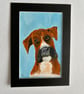 Original boxer dog painting in acrylics 5x7"