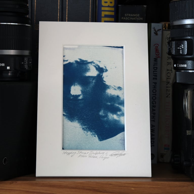 Cyanotype Photo O.O.A.K. Stepping Stones Detail Glasgow Kibble Palace