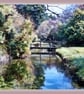 Gooderstone Water Gardens Norfolk Greeting Card A5