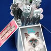Ladies Birthday Card with Cats