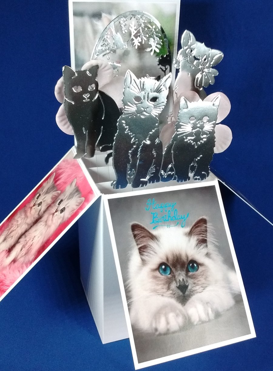 Ladies Birthday Card with Cats