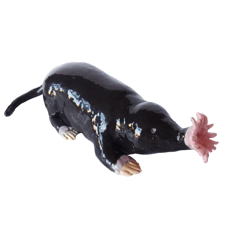 Star Nosed Mole Ceramic Ornament - Handmade