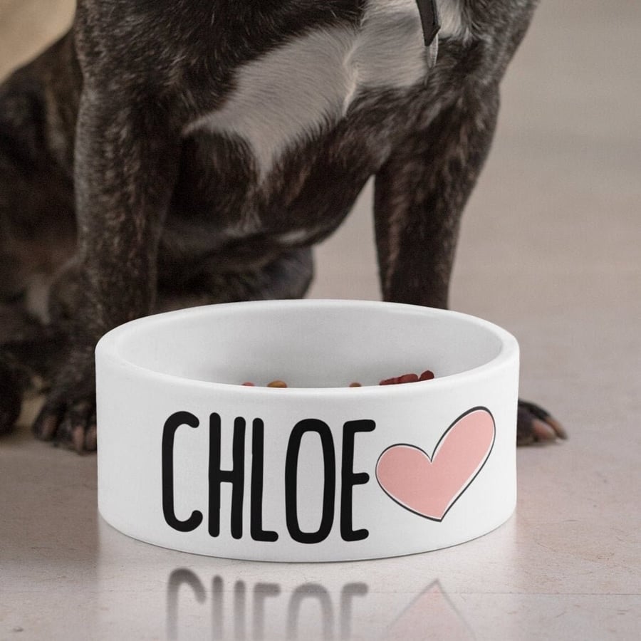 Personalised Pet Bowls Small Large - Choose Colour Font and picture