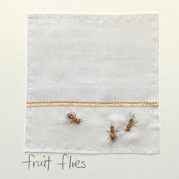 Fruit Flies by Lydia Needle on vintage fabric 