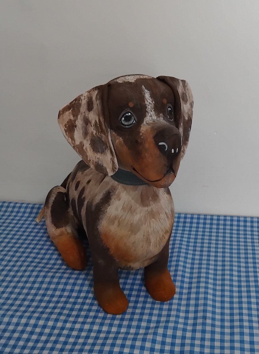 Fully personalised Miniature Dachshunds 