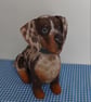 Fully personalised Miniature Dachshunds 