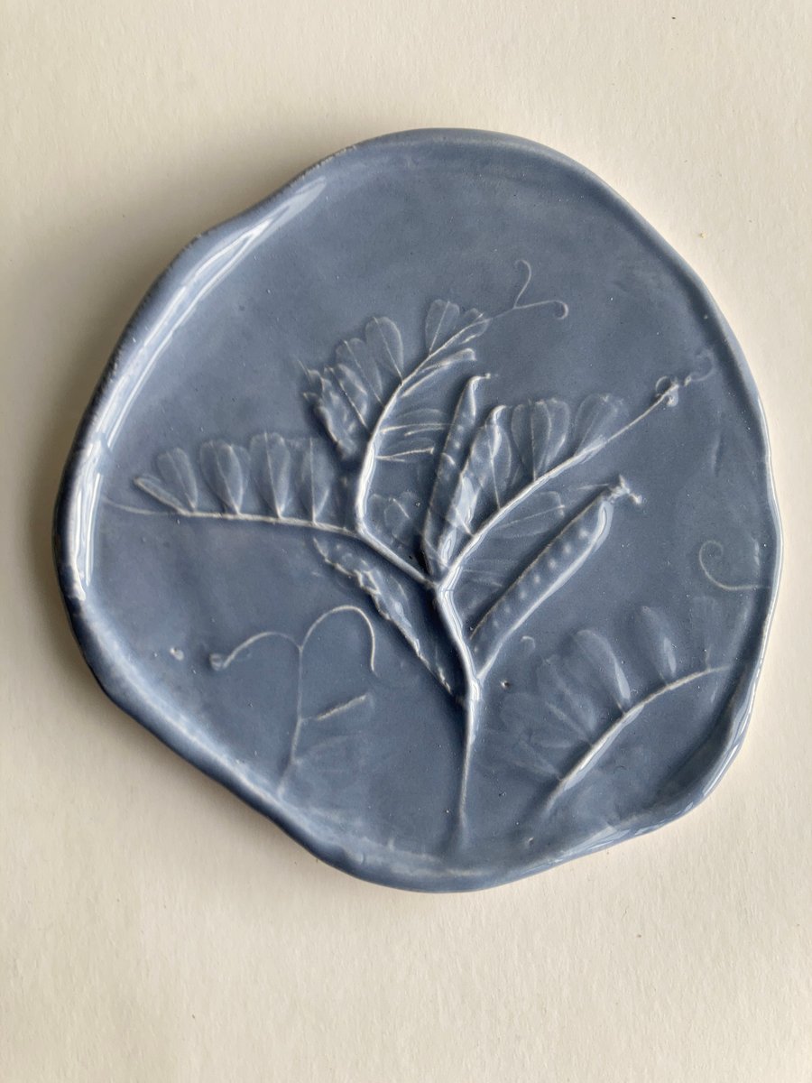 Vetch relief dish coaster