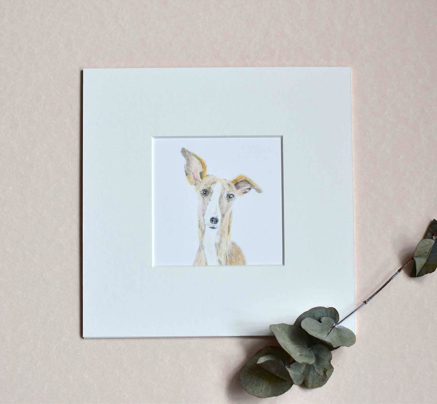 Lottie the Whippet - Original Hand Drawn Dog Illustration - Folksy