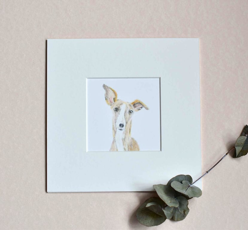 Lottie the Whippet - Original Hand Drawn Dog Illustration