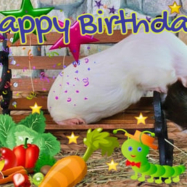 Happy Birthday Fun Guinea Pig Insect Card A5