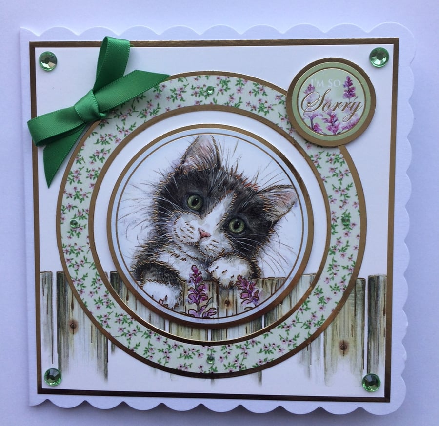 Sorry Card Cute Cat Garden Fence - I'm So Sorry 3D Luxury Handmade Card 