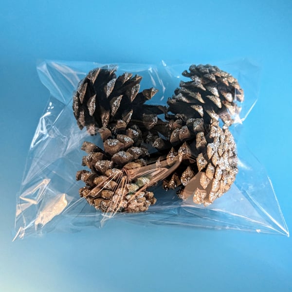 Hand picked Pine Cones with Silver Glitter Varnish 4 Pack