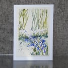 Sunlit Bluebells. Blank Card. Original Watercolour Painting. 260162
