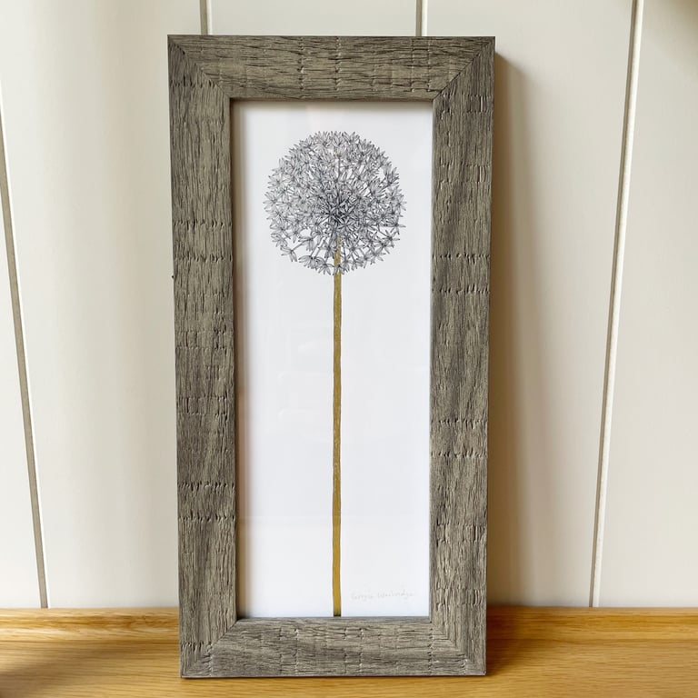 'Allium10" x 4" Framed Print