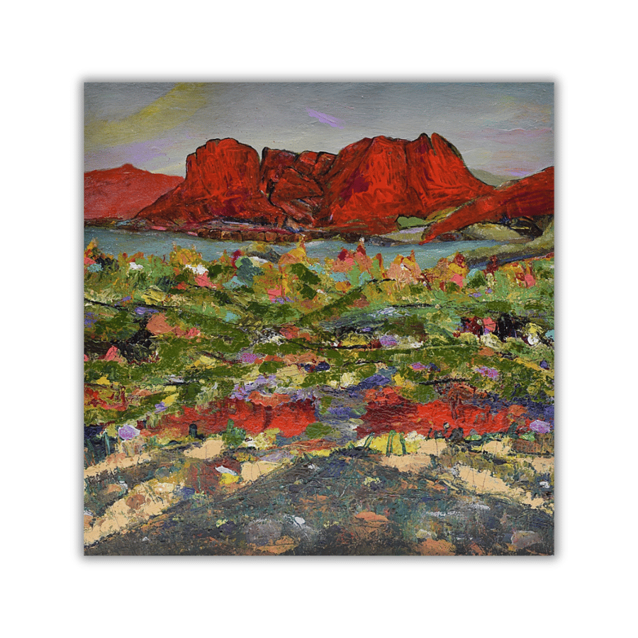 A framed original painting - Scottish landscape - Assynt - acrylic on canvas