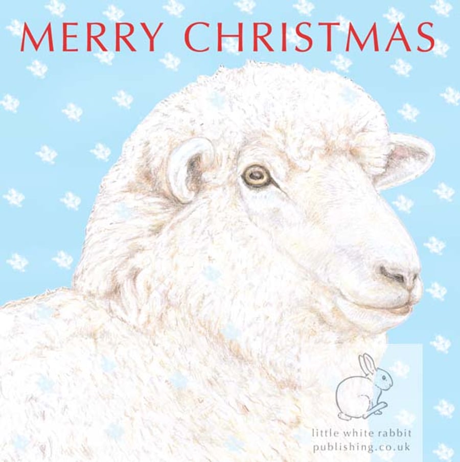 Woolly Sheep - Christmas Card