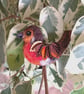 Robin Needle Felted Brooch Pin - Image 7