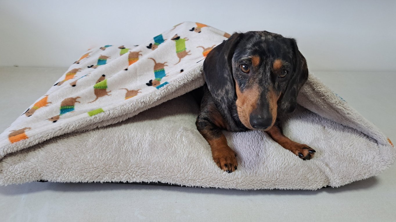 Dachshund Snuggle Cave Bed