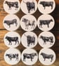 Handmade mixed breed Pedigree cows pine door knobs wardrobe drawer handles 