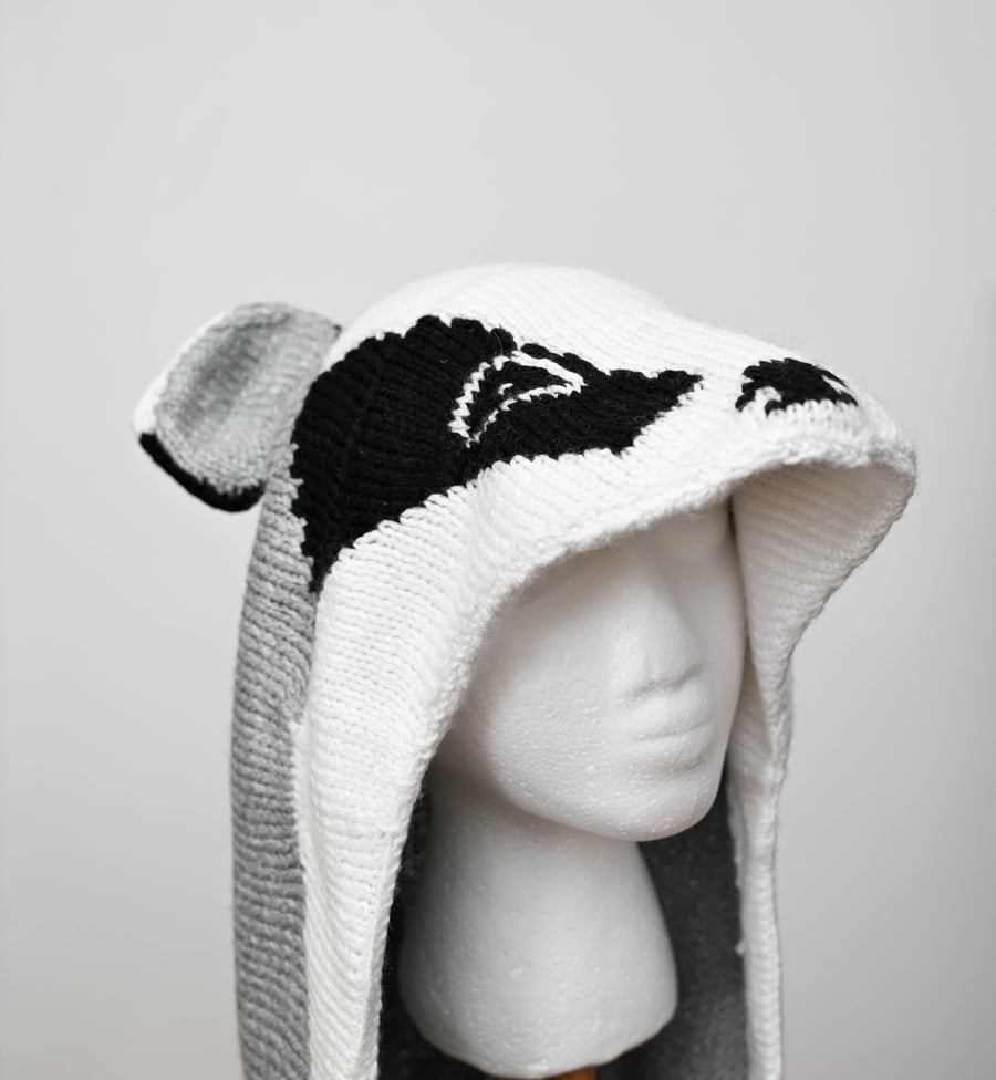Badger hood and scarf 