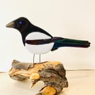 Fused glass magpie ornament on a Natural log stand 
