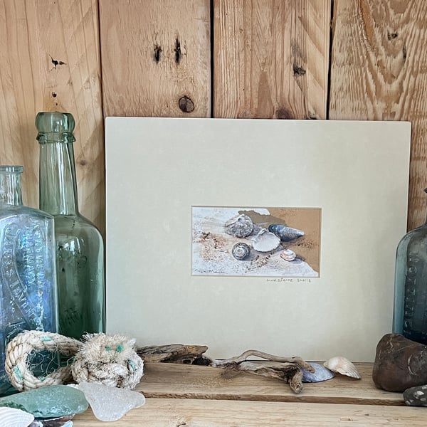 Lindisfarne Shells