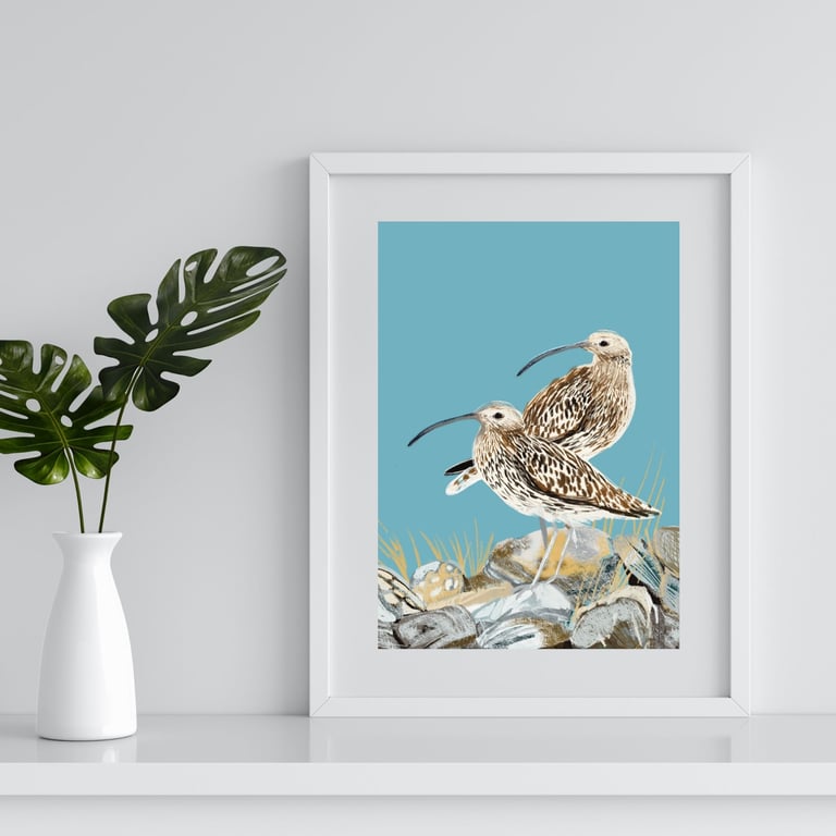 Bird Art Print - Curlew british bird print