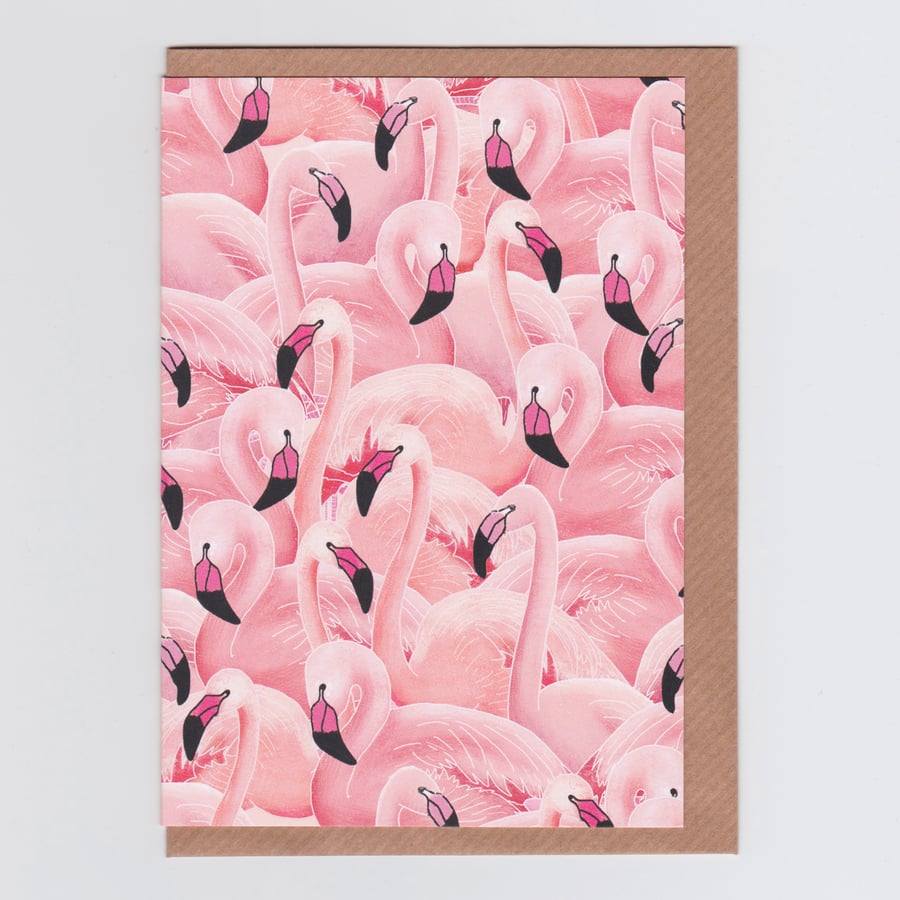 Blank Card - A Flamboyance of Flamingos