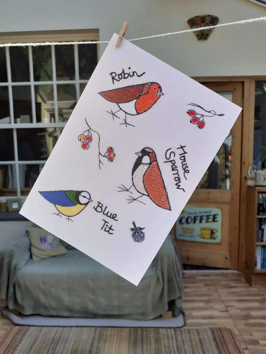 Garden Birds Greetings Card