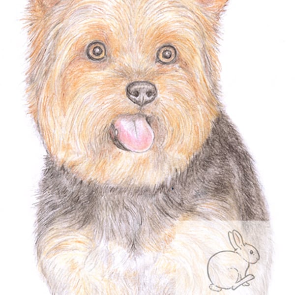 Dennis the Yorkie - Father's Day Card