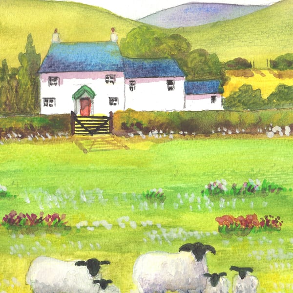 Spring Lambs, Welsh Farm - Original watercolour in 14 x 11'' Mount