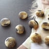 15mm 24L Tortoise Shell look (polyester Horn) x 6 Buttons