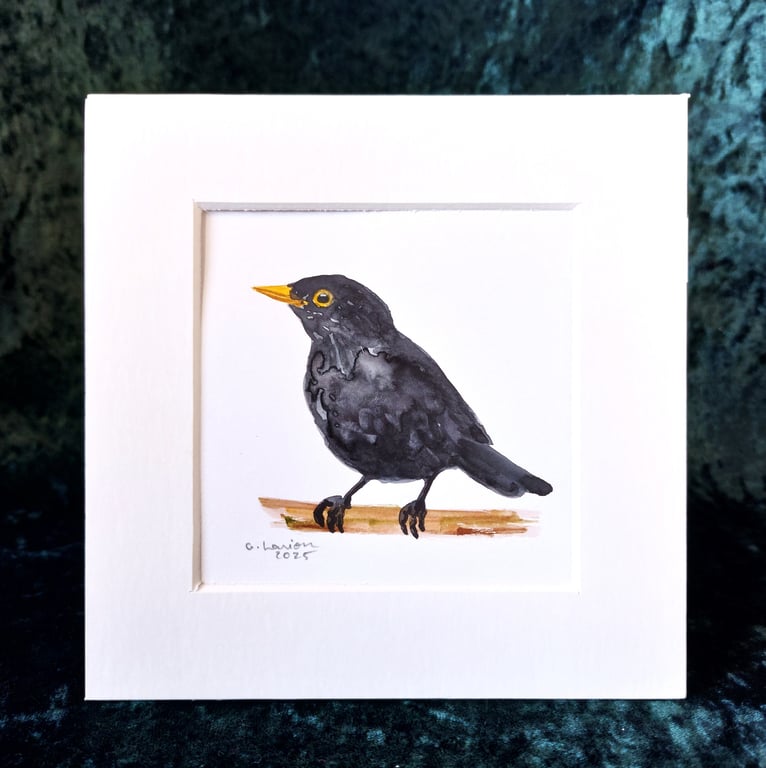 Blackbird - Original Watercolour Painting