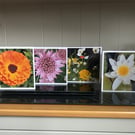 Set of 4 blank cards with flowers 