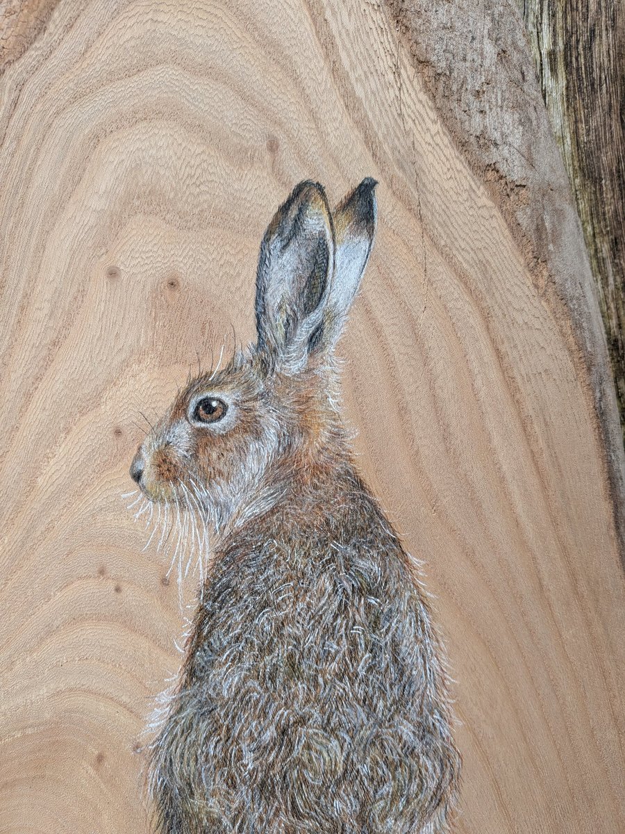 Original Hare Painting on Reclaimed Wood