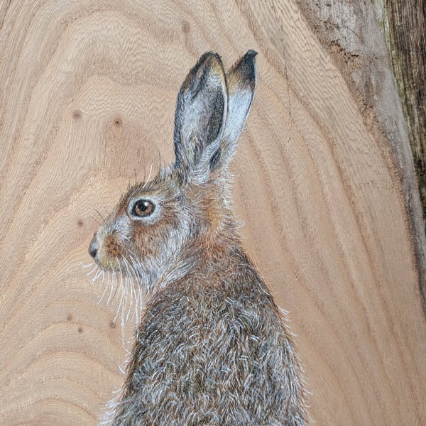 Original Hare Painting on Reclaimed Wood
