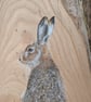 Original Hare Painting on Reclaimed Wood