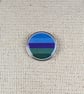 Salmacian Flag Pin - Pride Themed Badge - Large Resin Topped Pin Badge