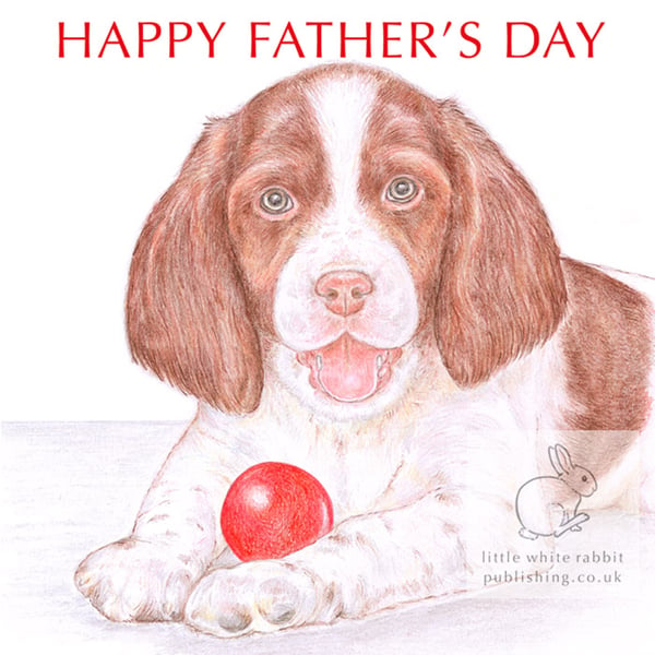 Ginny the Springer Spaniel - Father's Day Card