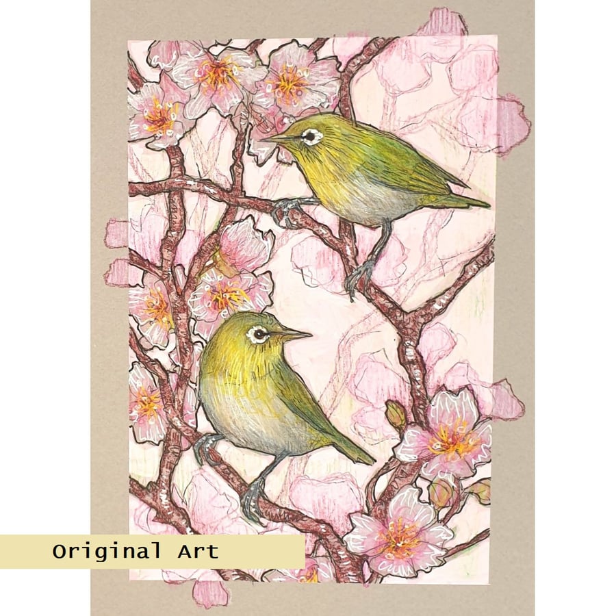 Japanese white-eye birds on spring blossom branches, original bird drawing