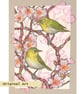 Japanese white-eye birds on spring blossom branches, original bird drawing - Image 1