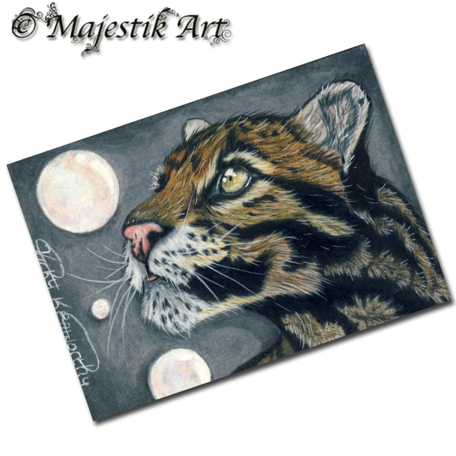 Archival ACEO Clouded Leopard Print 'Bubble' By V Kenworthy