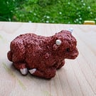 Highland cow 